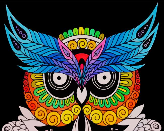 Colorful Mandala Night Bird Paint By Number