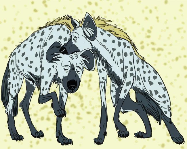 Couple Spotted Hyenas Paint By Number
