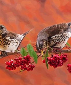 Cute Birds And Red Berries Paint By Number