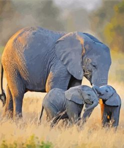 Cute Elephant And Two Babies Paint By Number