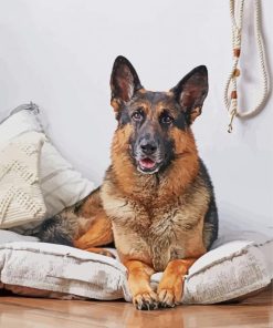 Aesthetic German Shepherd Dog Paint By Number