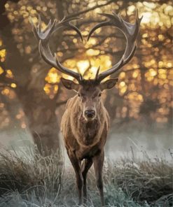 Deer Animal Heart Paint By Number