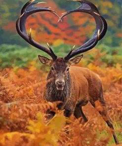 Deer With Heart Horns Paint By Number
