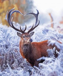 Aesthetic Deer Heart In Winter Paint By Number