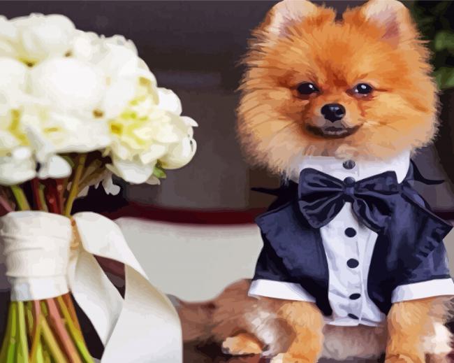 Dog With Suit For Wedding Paint By Number