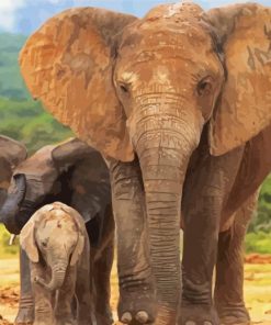Elephant And Two Babies Animals Paint By Number