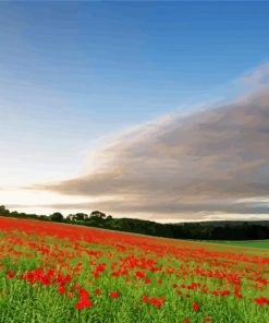 English Poppy Field Landscape Paint By Number