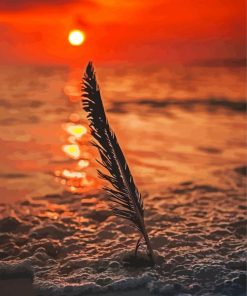 Feather Silhouette On Beach Paint By Number
