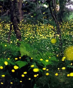 Fireflies Paint By Number