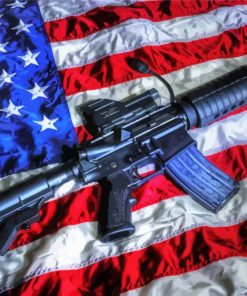 The American Flag With Gun Paint By Number