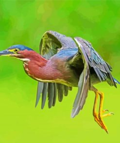 Flying Green Heron Paint By Number