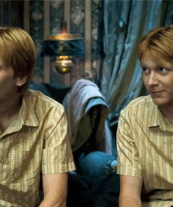 Fred And George Weasley Characters Paint By Number