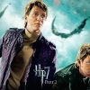 Fred And George Weasley Poster Paint By Number