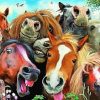 Funny Horse Animals Paint By Number