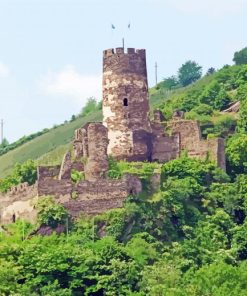 Furstenberg Rhine Castle Paint By Number