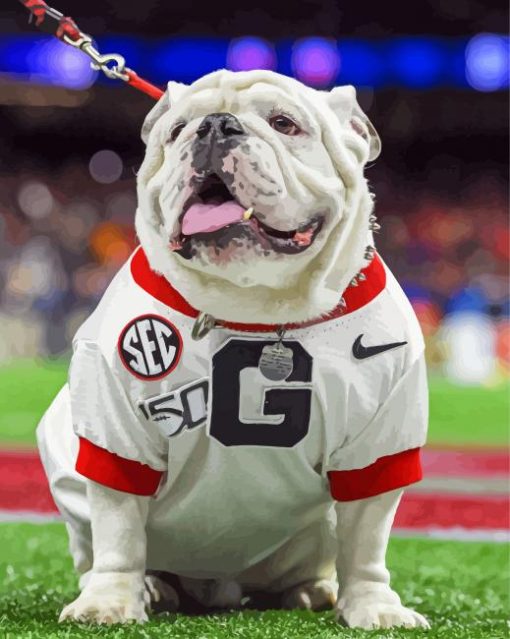 Georgia Bulldogs Paint By Number