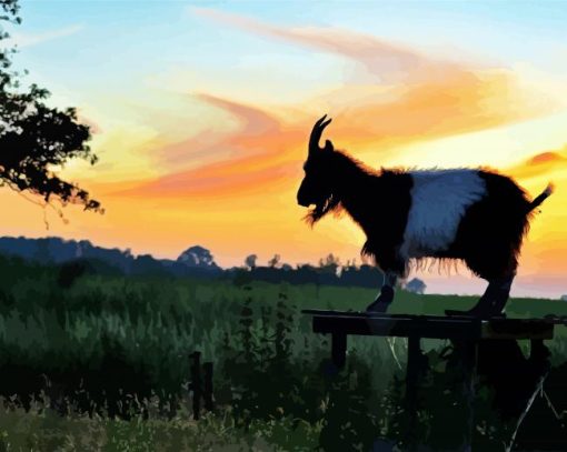 Goat Animal At Sunset Paint By Number