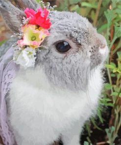 Grey Rabbit With Flower Wreath Paint By Number