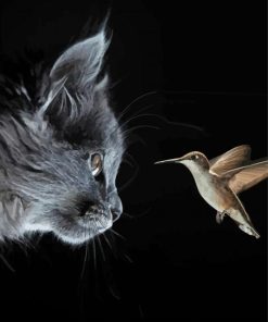 Grey Cat And Hummingbird Paint By Number