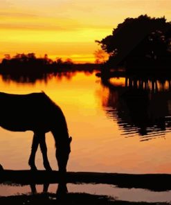 Horse Silhouette In New Forest National Park Paint By Number