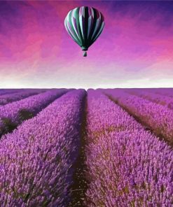 Hot Air Balloon Over Lavender Field Paint By Number