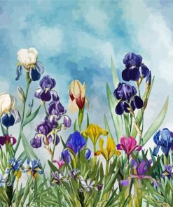 Iris Flowers Paint By Number