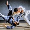 Jiu Jitsu Sport Paint By Number