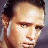 Marlon Brando Actor Paint By Number