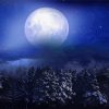 The Beautiful Moon Paint By Number