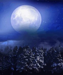 The Beautiful Moon Paint By Number
