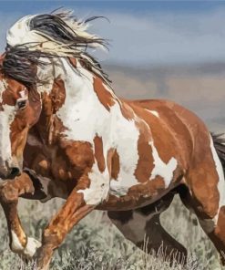 Native American Indian Horses Paint By Number