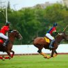 Polo Players And Horses Paint By Number