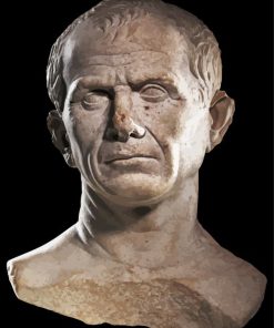 A Bust Of Julius Caesar Paint By Number