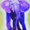 Purple Elephant Paint By Number