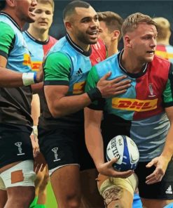 Quins Team Paint By Number