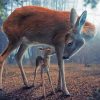 Aesthetic Realistic Deer Animal Paint By Number
