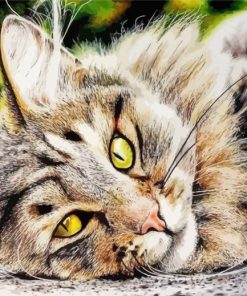 Aesthetic Realistic Cat Animal Paint By Number