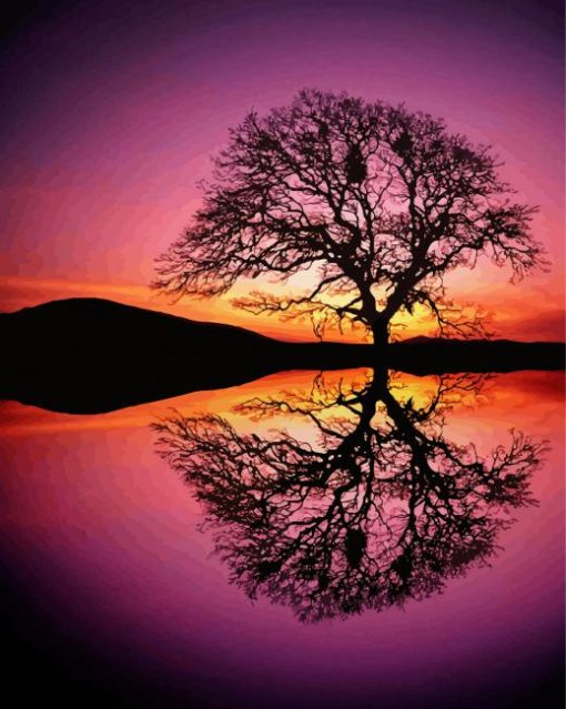 Reflection Tree By Water At Sunset Paint By Number