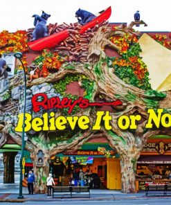Ripley's Believe It Or Not In Fort Worth Paint By Number