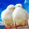 Romantic White Doves Paint By Number