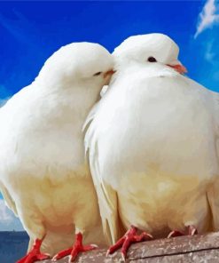 Romantic White Doves Paint By Number