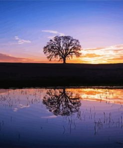 Silhouette Tree By Water At Sunset Paint By Number