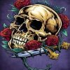 Skull And Roses Art Paint By Number