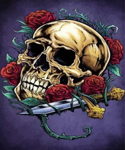 Skull And Roses Art Paint By Number