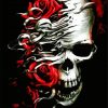 Skulls And Red Roses Paint By Number