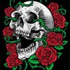 Skulls And Roses Art Paint By Number