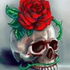 Skulls And Roses Flower Art Paint By Number