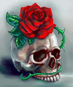 Skulls And Roses Flower Art Paint By Number