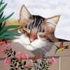 Sleepy Cat And Hummingbird Paint By Number