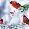 Snowman With Birds Paint By Number